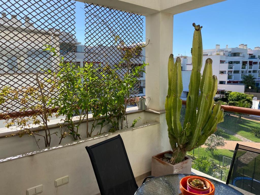 Ferienwohnung Apartamento Cabo De Gata-Toyo Retamar  Exterior foto